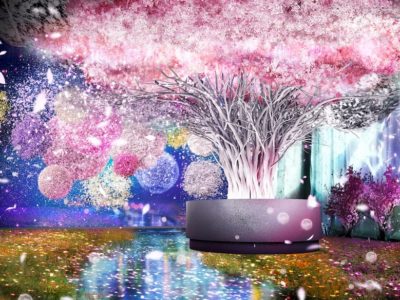 五感で楽しむ花の体感型アート展「FLOWERS BY NAKED 2020 −桜−」