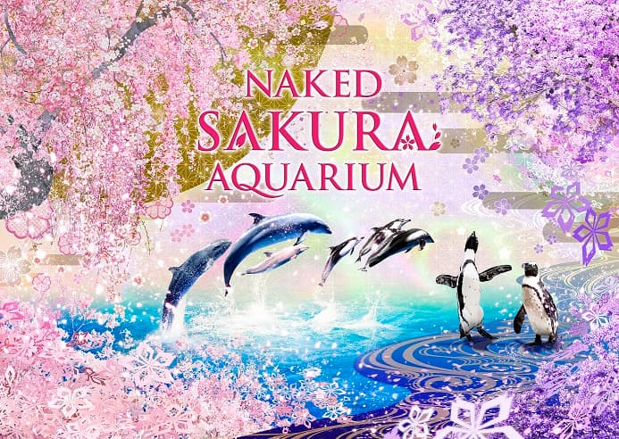 ＮＡＫＥＤ ＳＡＫＵＲＡ ＡＱＵＡＲＩＵＭ