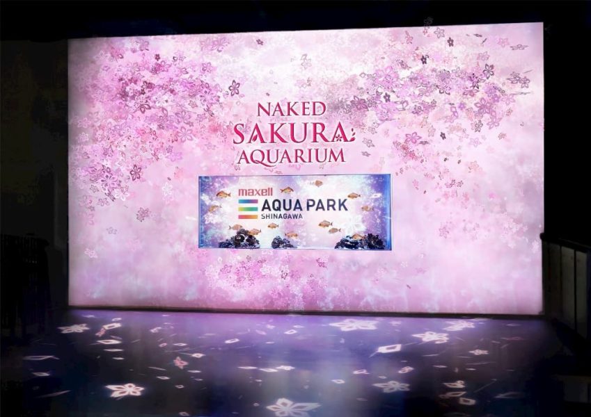 ＮＡＫＥＤ ＳＡＫＵＲＡ ＡＱＵＡＲＩＵＭ