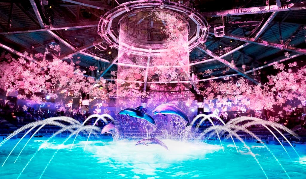 ＮＡＫＥＤ ＳＡＫＵＲＡ ＡＱＵＡＲＩＵＭ