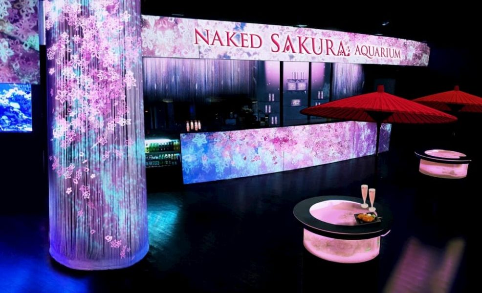 ＮＡＫＥＤ ＳＡＫＵＲＡ ＡＱＵＡＲＩＵＭ