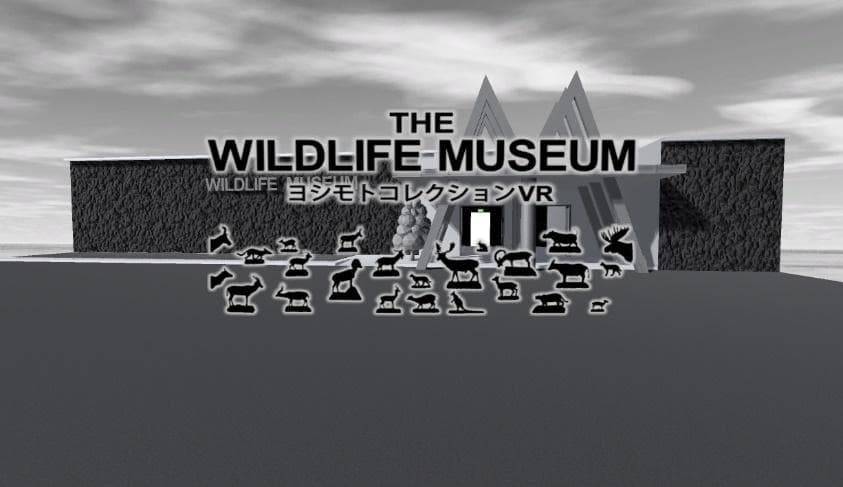 国立科学博物館（館長 林良博）は、 標本収蔵庫に収蔵されている非公開の貴重なコレクションを、 ご自宅からお楽しみいただけるようにVR博物館として公開いたします。 【THE WILDLIFE MUSEUMウェブサイト： https://www.kahaku.go.jp/3dmuseum/yoshimoto-vr/ 】 THE WILDLIFE MUSEUMのバーチャル展示室　（国立科学博物館） THE WILDLIFE MUSEUMのバーチャル展示室　（国立科学博物館） 　国立科学博物館 地球館3F展示室「大地を駆ける生命」は、 多くの哺乳類の剥製が立ち並ぶ人気の展示です。 その剥製の大半は、 ハワイの実業家、 故ワトソンT.ヨシモト氏(1909～2004)より寄贈された約400点の「ヨシモトコレクション」の一部です。 上野に展示されていない剥製は、 通常は国立科学博物館筑波地区標本収蔵庫に収蔵されていて非公開となっています。 国立科学博物館 地球館３階展示室「大地を駆ける生命」 国立科学博物館 地球館３階展示室「大地を駆ける生命」 幻の「WILDLIFE MUSEUM」をVR空間に再現（配信時間：2020年４月30日14時） 　このたび、 これらの非公開の剥製を自由に見学していただけるVR博物館が完成しました。 このVR博物館は、 ヨシモト氏が1992年に開館した幻の私設博物館「WILDLIFE MUSEUM」をイメージしてVR空間に再現しました。 THE WILDLIFE MUSEUMウェブサイト： https://www.kahaku.go.jp/3dmuseum/yoshimoto-vr/ ※「THE WILDLIFE MUSEUM」は、 PCのWebブラウザまたはVRゴーグルでご覧いただくことができます。 詳しい動作条件等はウェブサイトでご確認ください。 （スマートフォンやタブレットには対応していません。 ） THE WILDLIFE MUSEUMのタイトル画面と外観　（国立科学博物館） THE WILDLIFE MUSEUMのタイトル画面と外観　（国立科学博物館） VR博物館の外観は、 1992年にヨシモト氏が私費を投じて開館した博物館「WILDLIFE MUSEUM」そのもののイメージを完全に再現しました。 1992年にハワイにあった実際の「WILDLIFE MUSEUM」の外観　　（国立科学博物館） 1992年にハワイにあった実際の「WILDLIFE MUSEUM」の外観　　（国立科学博物館） 建物内部に入ると、 広大なバーチャル空間が開けていて、 剥製がたくさん並んでいます。 広大なバーチャル空間に24体の動物剥製が展示されています。 　（国立科学博物館） 広大なバーチャル空間に24体の動物剥製が展示されています。 　（国立科学博物館） VR展示だから、 実際の博物館の展示室では不可能なほど、 目前まで近寄って、 好きな角度から動物たちの体をじっくり観察出来ます。 3Dビュー＋VR映像で、 好きなだけ自由にお楽しみいただくことができます。 VRゴーグルで見たアルガリの剥製のイメージ。 近づいてみると標本ラベルが表示されます。 　（国立科学博物館） VRゴーグルで見たアルガリの剥製のイメージ。 近づいてみると標本ラベルが表示されます。 　（国立科学博物館） ナイトモードではライトで照らしながら観察します。 迫力満点のナイトミュージアムです。 　　（国立科学博物館） ナイトモードではライトで照らしながら観察します。 迫力満点のナイトミュージアムです。 　　（国立科学博物館） ヨシモト氏が博物館を作るまでの自伝的な物語など、 剥製の世界を理解して楽しむための解説も充実しています。 今回、 公開する剥製は24体です。 これまで上野本館の常設展には展示されていない剥製がほとんどです。 今後、 順次、 新しい剥製を追加していく予定です。 THE WILDLIFE MUSEUMに展示する剥製 アイベックス、 アフリカスイギュウ、 アルガリ、 イボイノシシ、 オリビカラカル、 カンジキウサギ、 キルクディクディク、 サーバル、 サバンナダイカー、 ジェレヌク、 シタツンガ、 スナイロワラビー、 セグロジャッカル、 セスジダイカー、 ダマジカ、 ニルガイ、 ハーテビースト（全身、 頭部）、 ピューマ、 ブレスボック、 ヘラジカ、 モウコガゼル、 ヤギ（和名 50音順） 国立科学博物館 ホームページ： https://www.kahaku.go.jp/ YouTube： https://www.youtube.com/NMNSTOKYO/ Facebook： https://www.facebook.com/NationalMuseumofNatureandScience/ Twitter： https://twitter.com/museum_kahaku/ Instagram： https://www.instagram.com/kahaku_nmns/